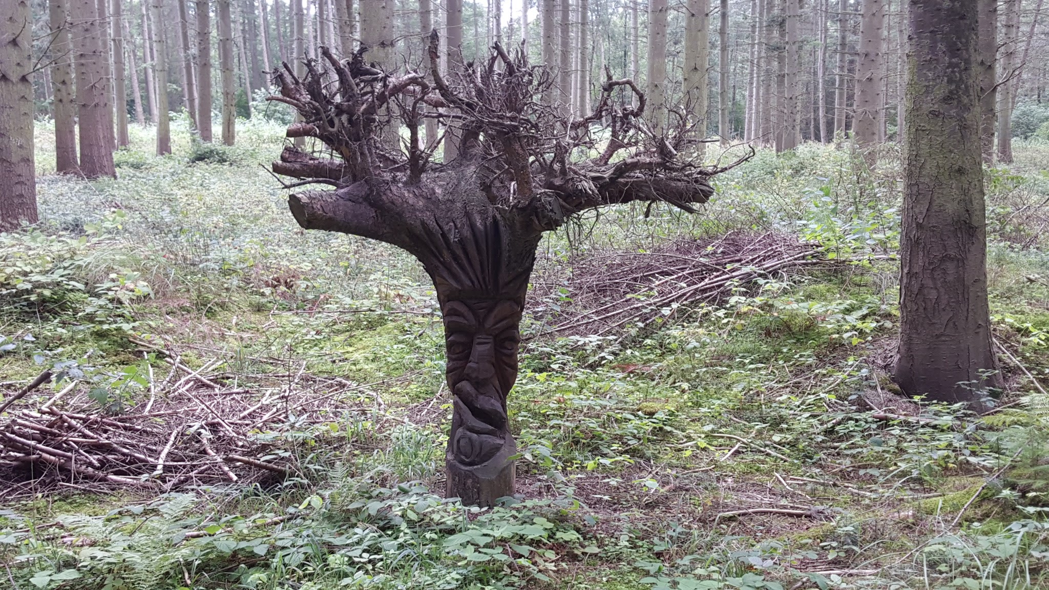 Erlebniswald