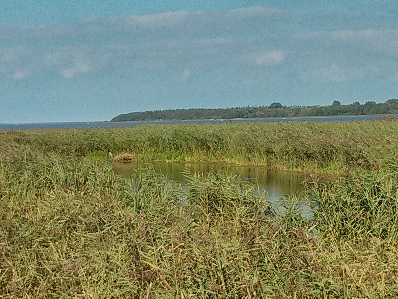 Naturschutzgebiet