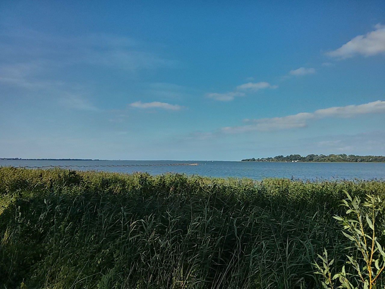 Blick auf den Saaler Bodden