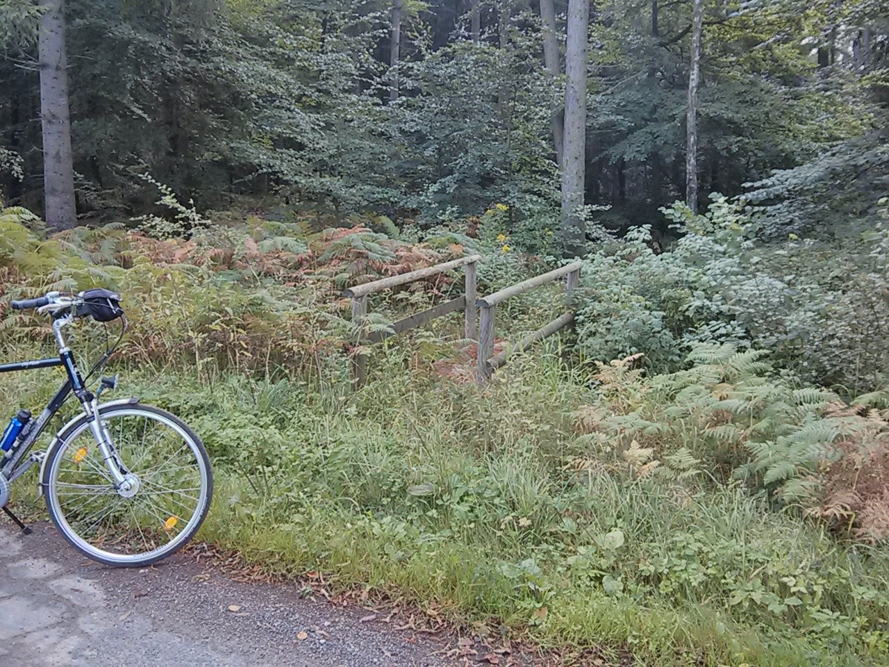 Brücke ins Nichts