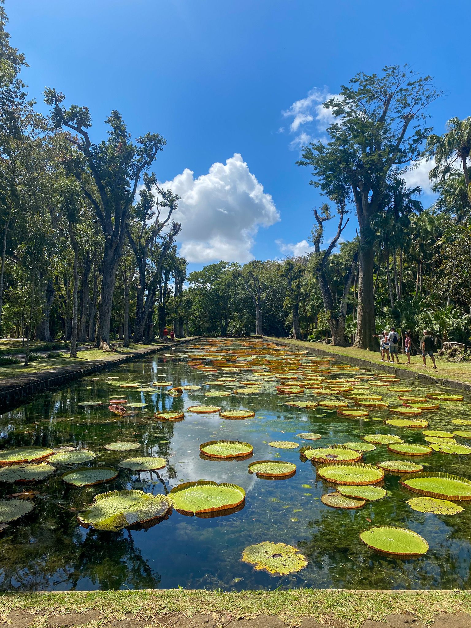 Botanischer Garten
