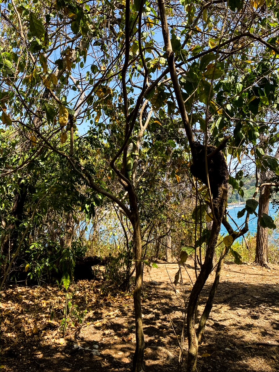Punta Culebra Nature Center