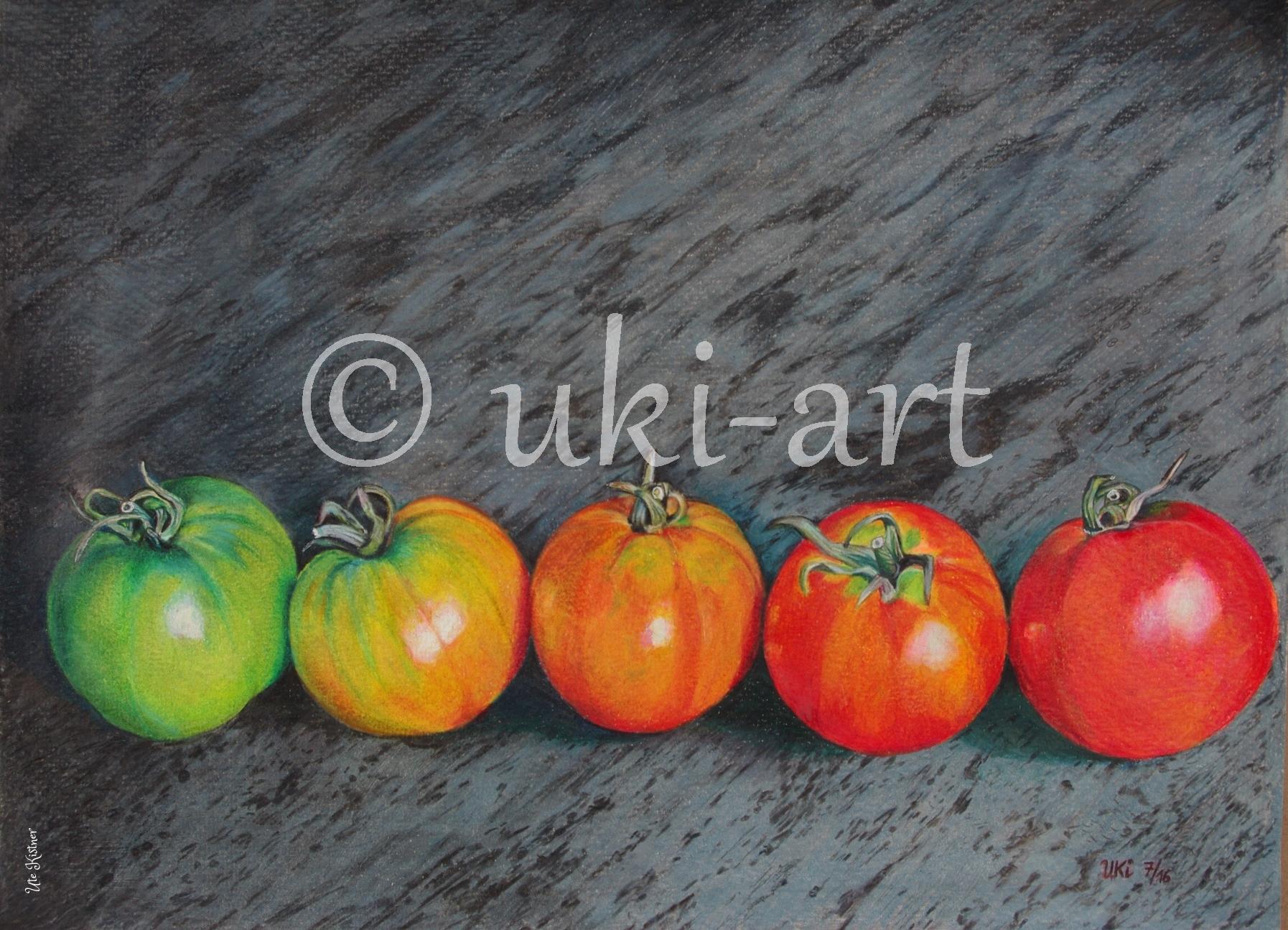 Tomaten, colored pencil, Format DIN A3, free reference photo from Sally Robertson