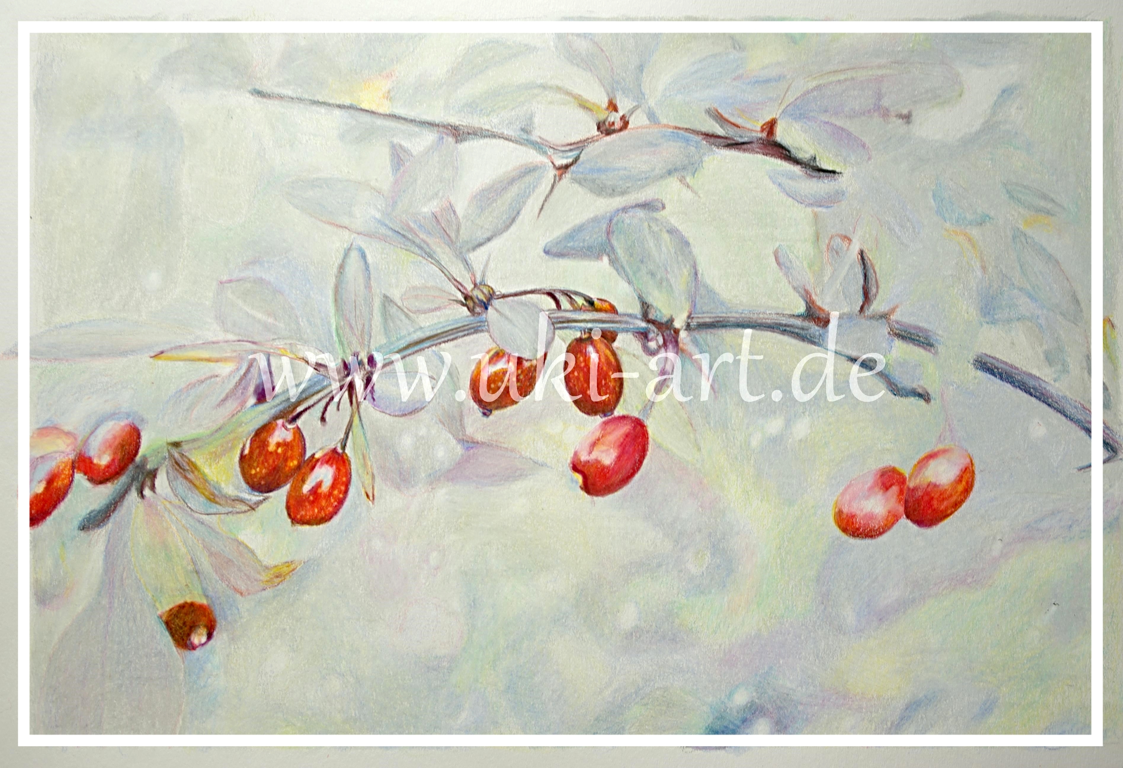 colored pencil drawing; DIN A3, Hagebutten im Schnee