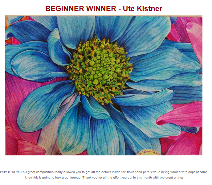 Blue Daisy -cpm-contest 04/2015 - Beginner Winner  April/2015