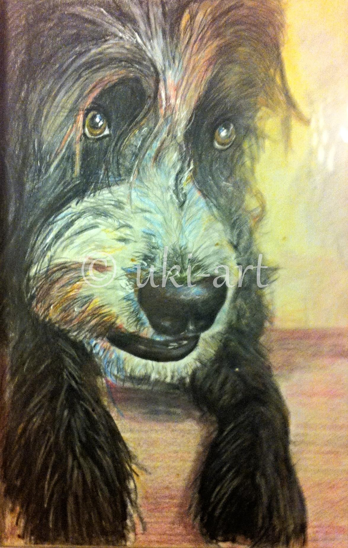 Sachenka, colored pencil, DIN A4, privat, reference photo by my own