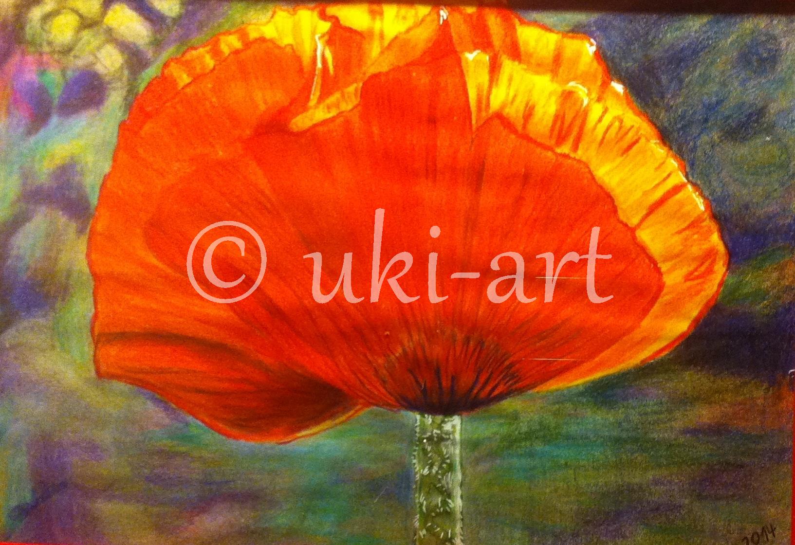 Mohnblüte, colored Pencil, DIN A3, reference photo by my own