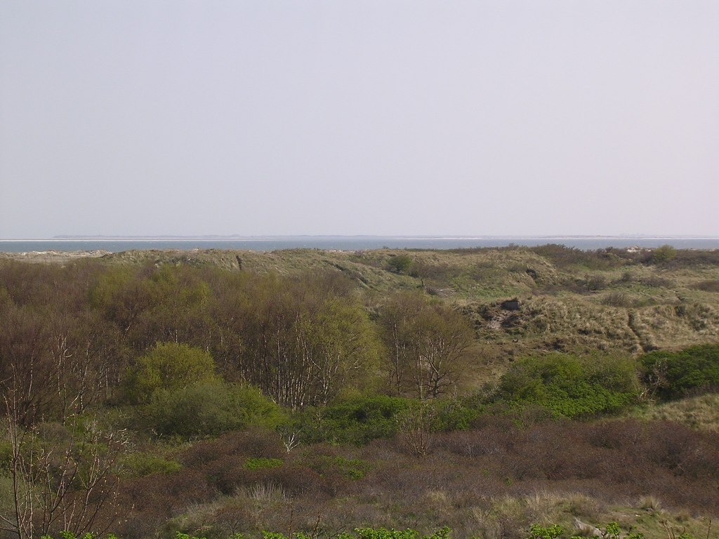 Borkum Dünenlandschaft