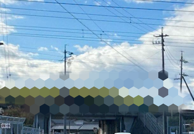 見ると幸せになる？