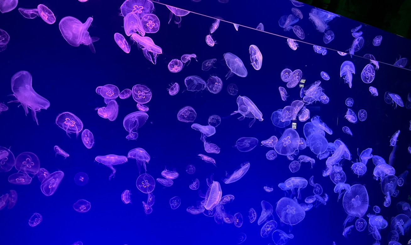 水族館