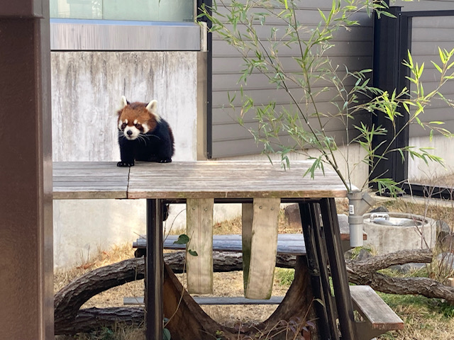 東山動植物園