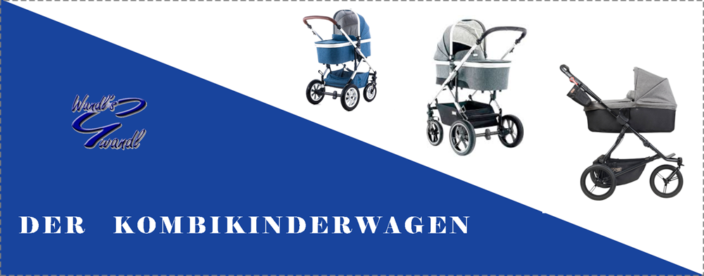 Kombikinderwagen Wandls Gwandl