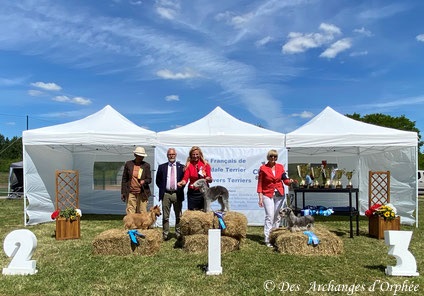 Olga; Best in Show Vénérable - meilleure Vénérable de la NE 2022.