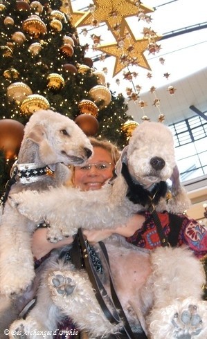 Les filles sous le sapin...
