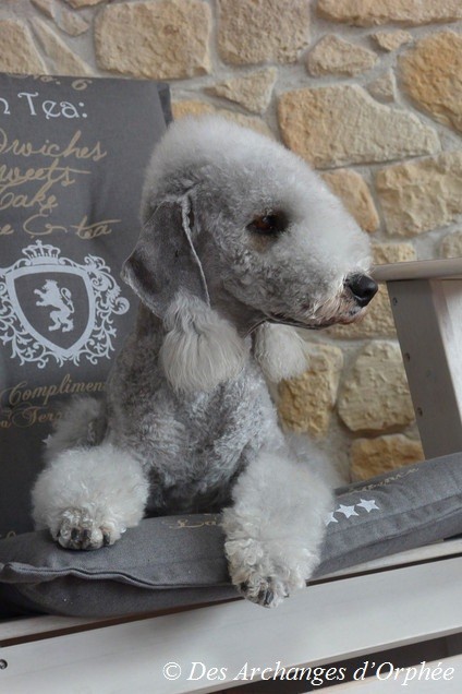 Cliquez sur l'image pour retrouver toutes les photos d'Olga ♥ .