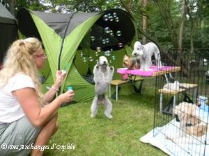 Décontraction en exposition de beauté !