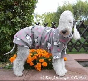 Olga dans son sweat mouton.