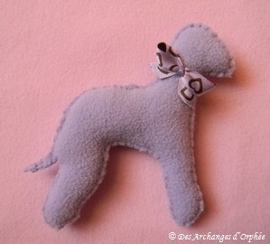 à adopter / for sale :)