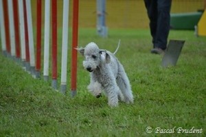 Merci à Pascal Prudent pour les belles photos.