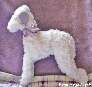 Coussin Bedlington.