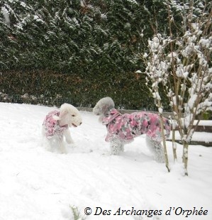 Testé dans les conditions extrêmes !