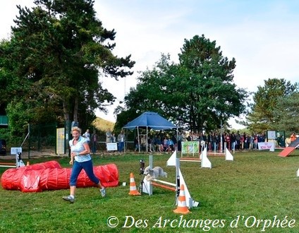 Cliquez sur le lien pour accéder aux photos du concours d'agility d'Orphée