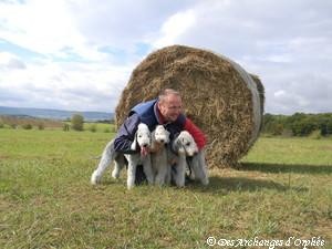 Cliquez sur la photo pour accéder à la rubrique.