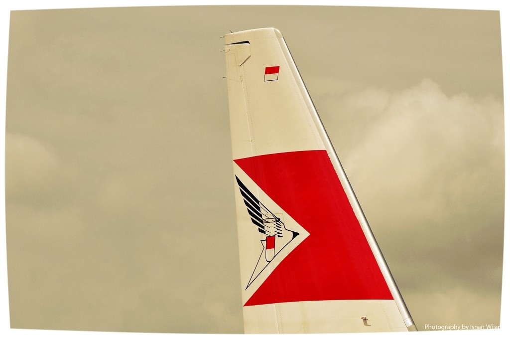 garuda old livery