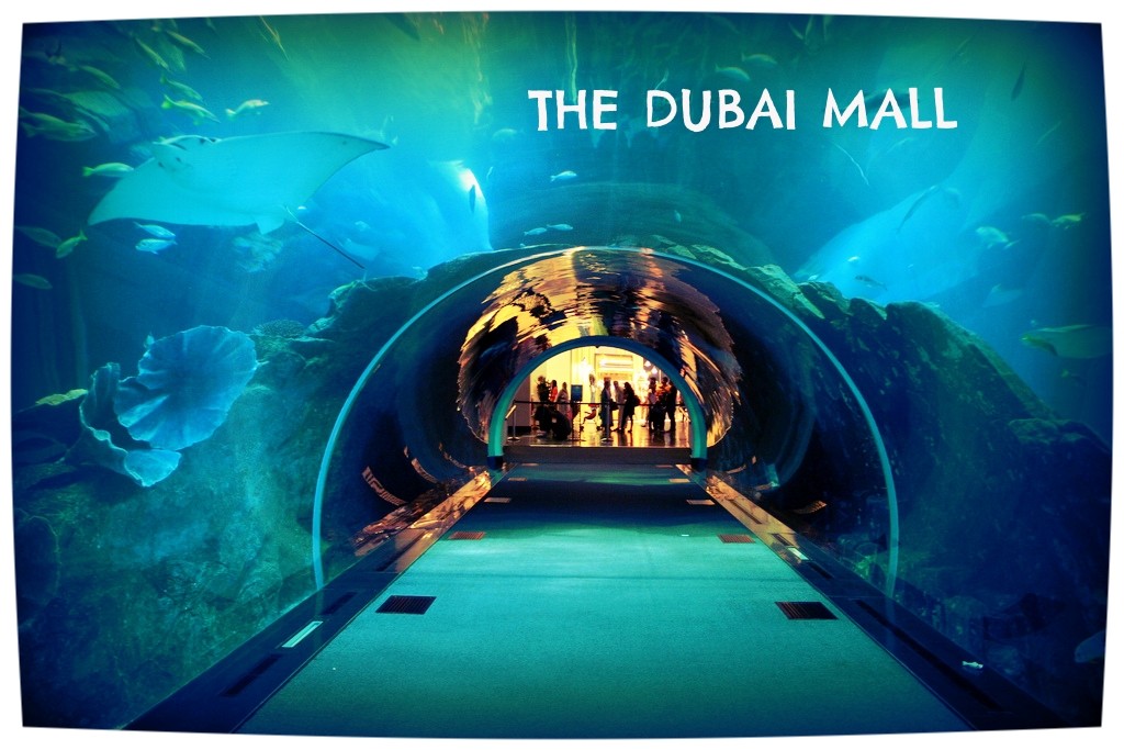 the dubai mall