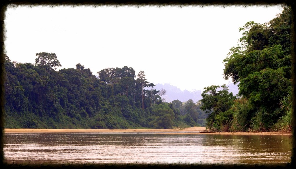 taman negara