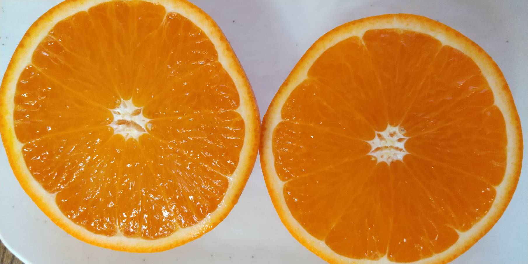 柑橘の種類 - おいしい本物を食べる会