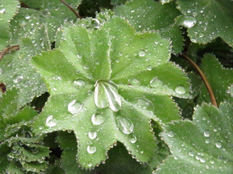 Schätze der Natur erleben