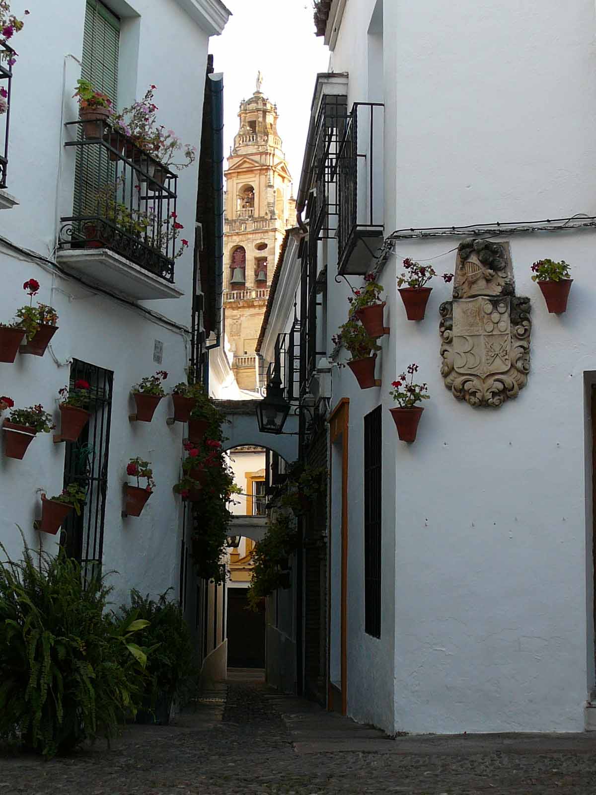 スペイン　コルドバ　花の小道（世界遺産）