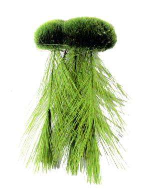 künstliche perle Perle Barock Keshi Nacre Naturelle main image 1
