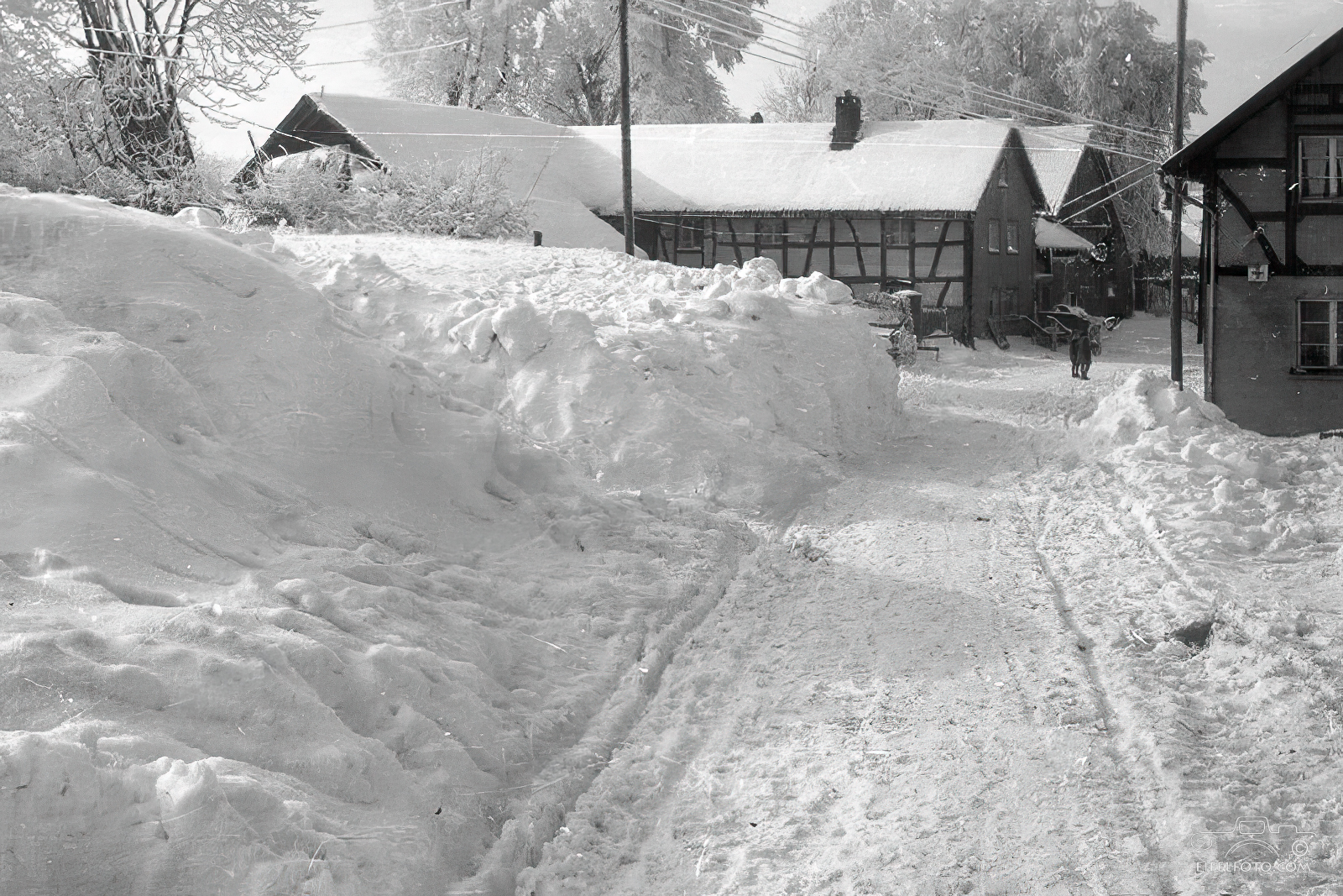 Winter in Wollseifen