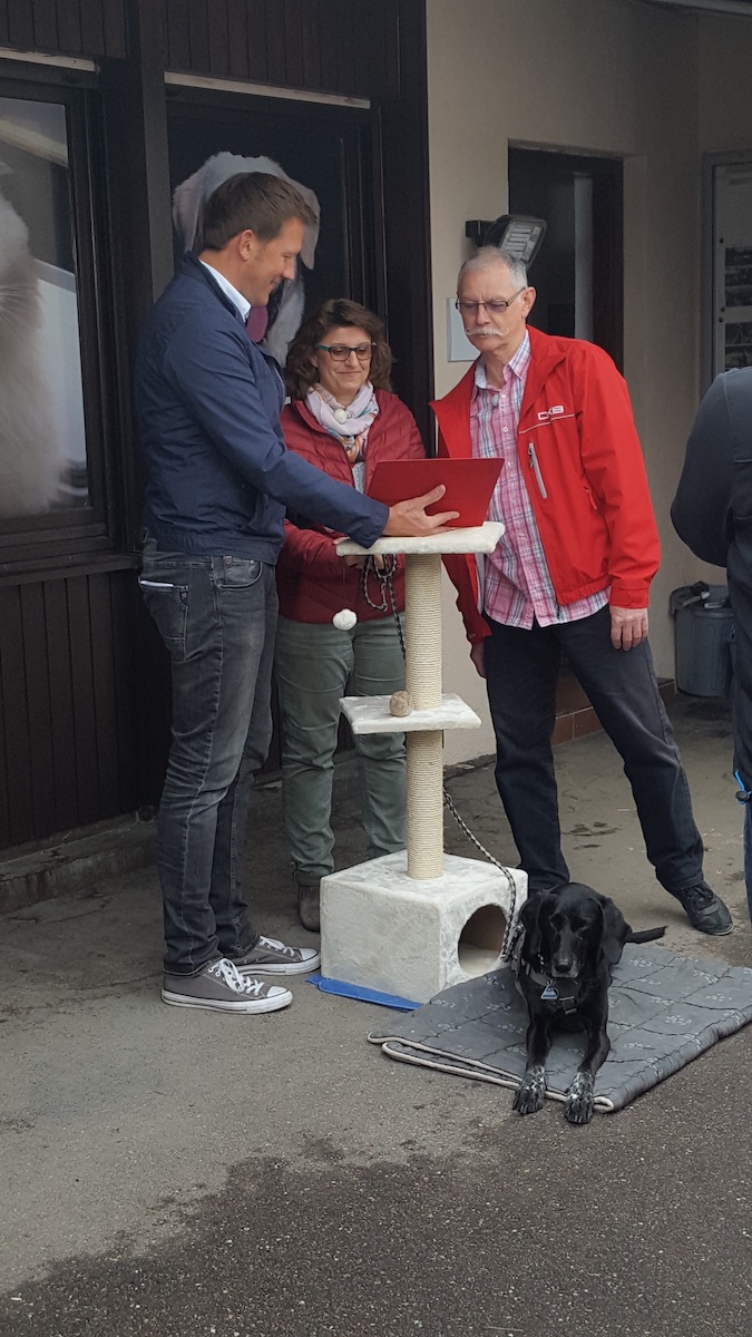 Neuigkeiten Archiv Tierschutzverein Esslingen U U E V Mit Tierheim Esslingen