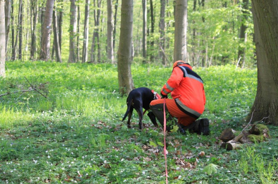 Frühjahrs-Verbandsschweissprüfung 2015