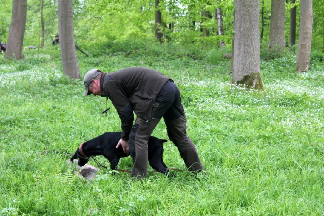 Frühjahrs-Verbandsschweissprüfung 2014