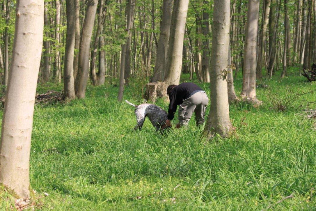 Frühjahrs-Verbandsschweissprüfung 2015