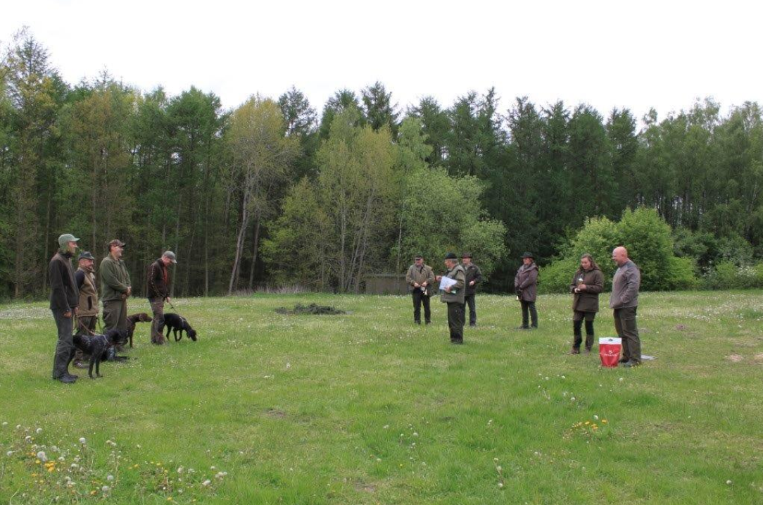 Frühjahrs-Verbandsschweissprüfung 2014