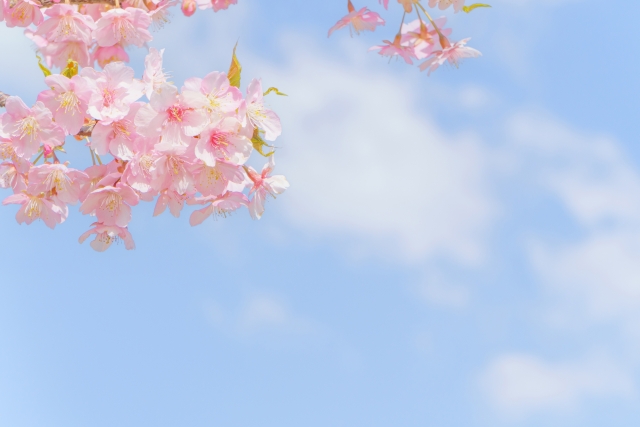 4月のお部屋探し