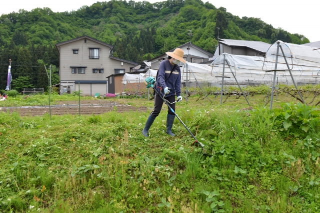 庭のある家