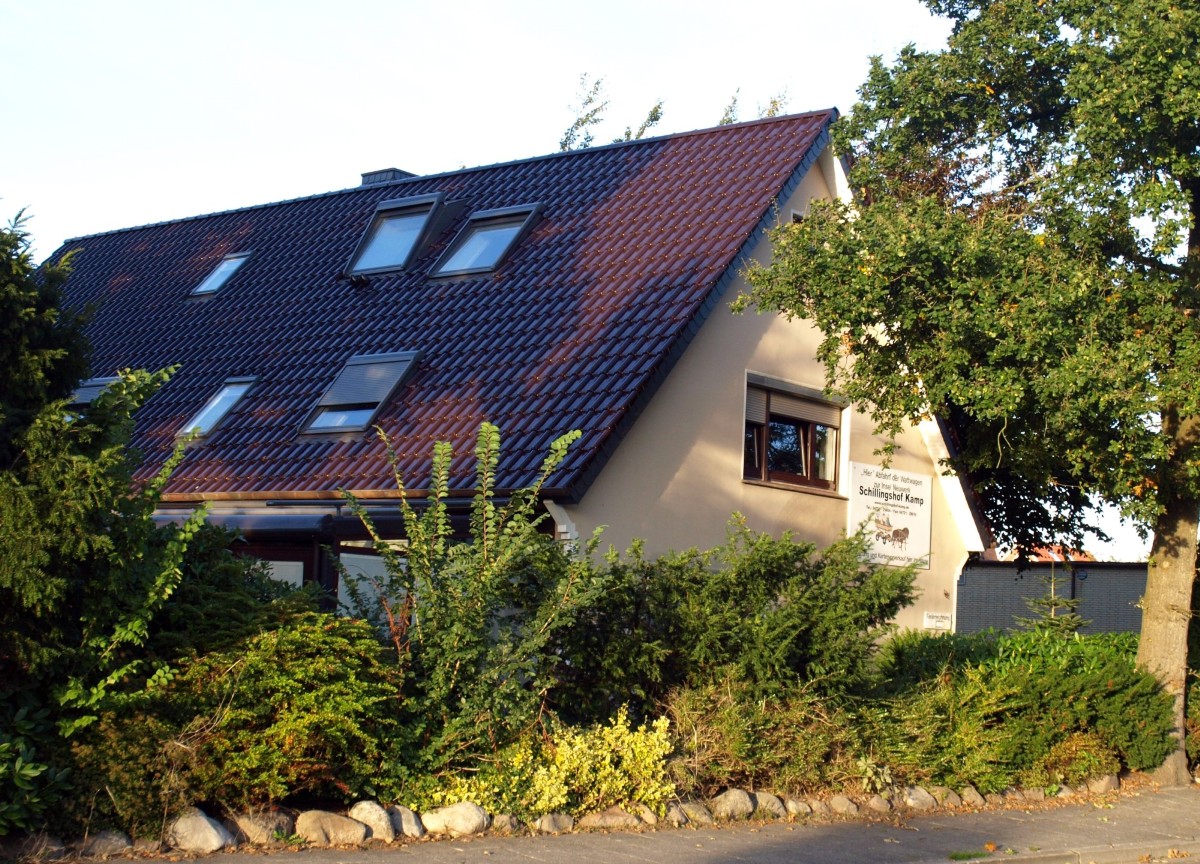 Schillingshof - Kamp