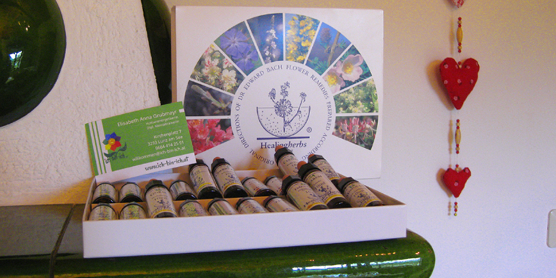 Bachblüten | Essenzen aus Pflanzen - ich-bin-ich.at - Elisabeth Grubmayr