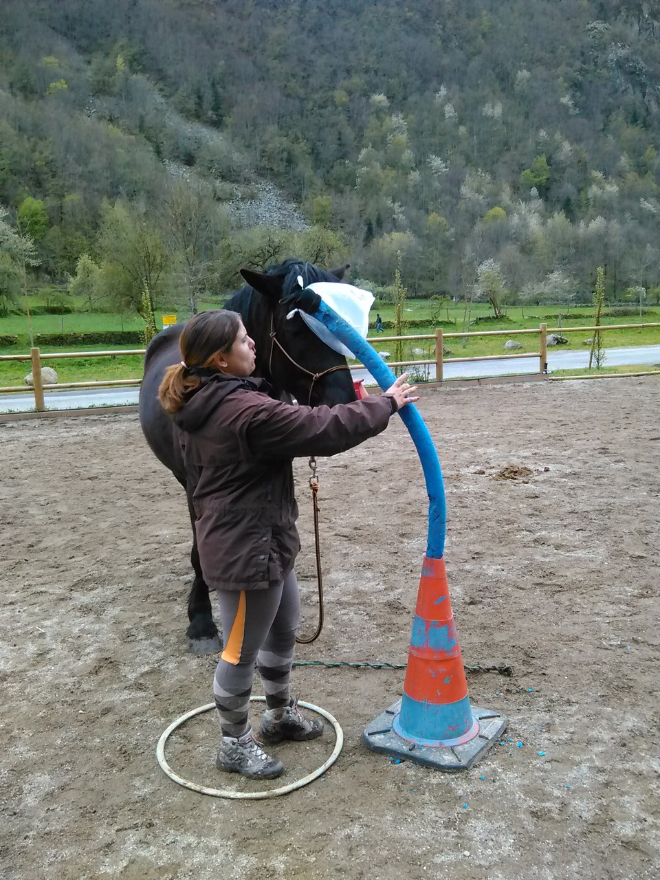 Stage étho dans le cadre des ateliers trimestriels