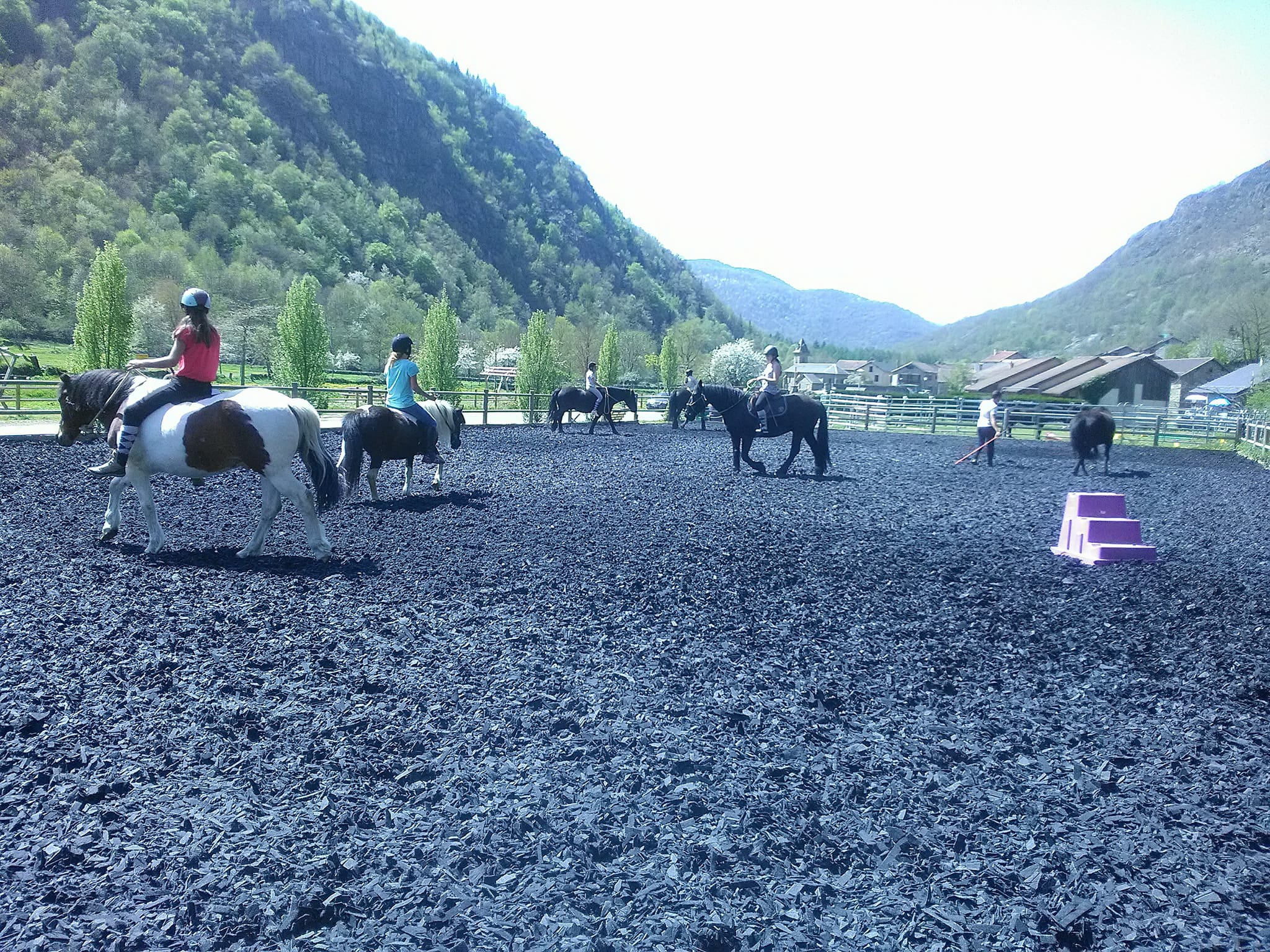 Du coup tout le monde essaie : certains poneys ont un peu ronflé, d'autres ont voulu goûter....et tous ont dévoilé leurs plus belles allures !