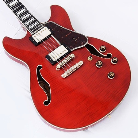 ジャンク堂倉敷玉島店【楽器買取】セミアコギター： アイバニーズ