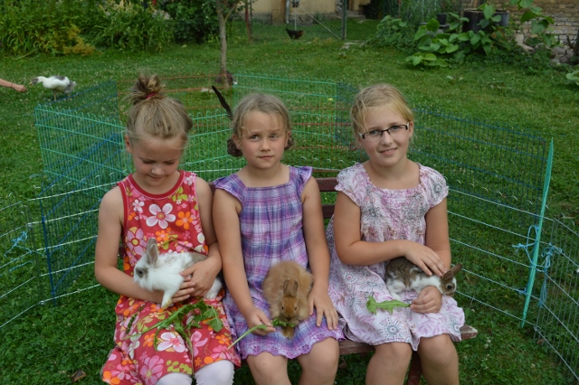 Kaninchen kuscheln