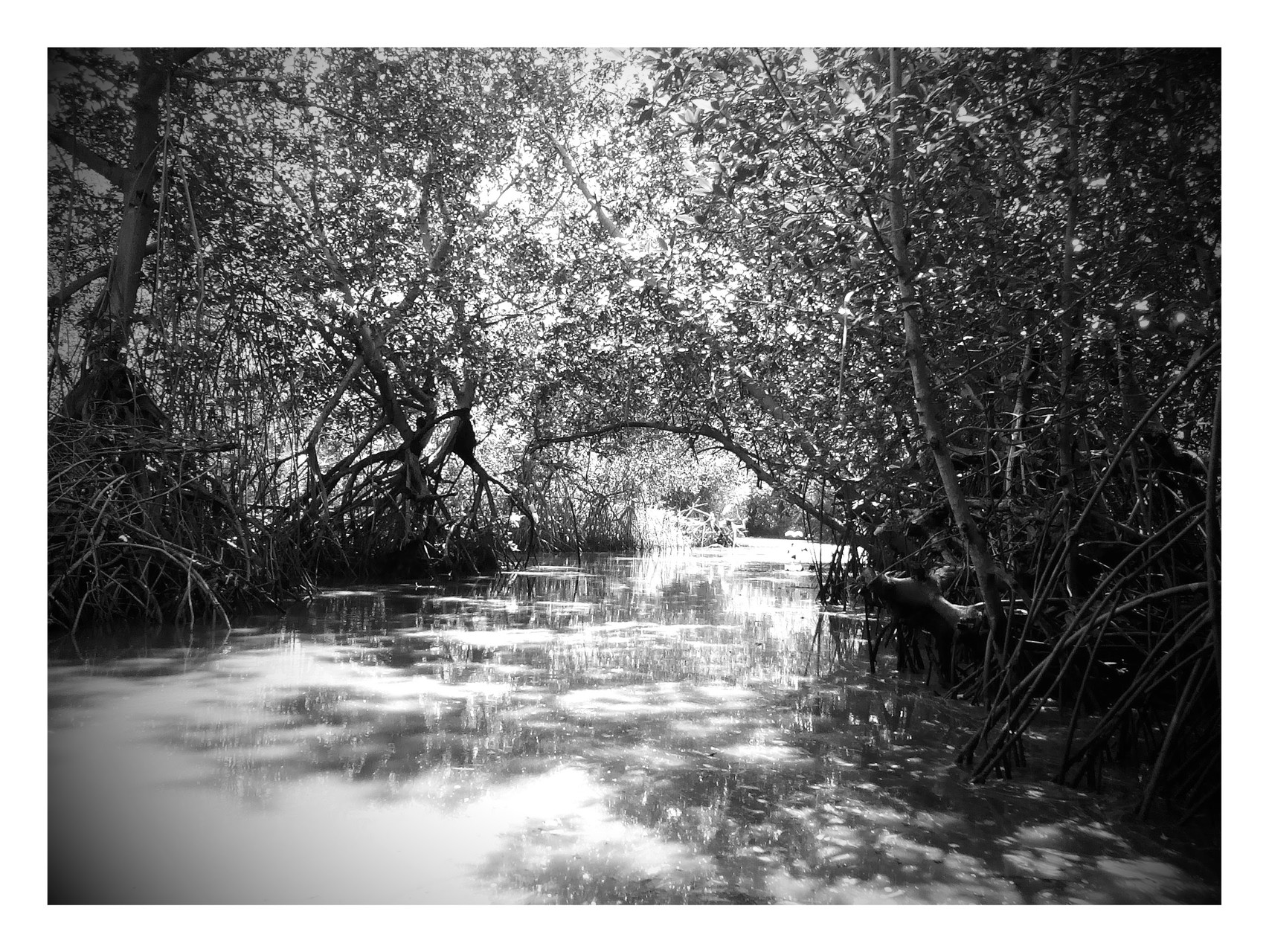 Isla Juan Venado, Nicaragua décembre 2015