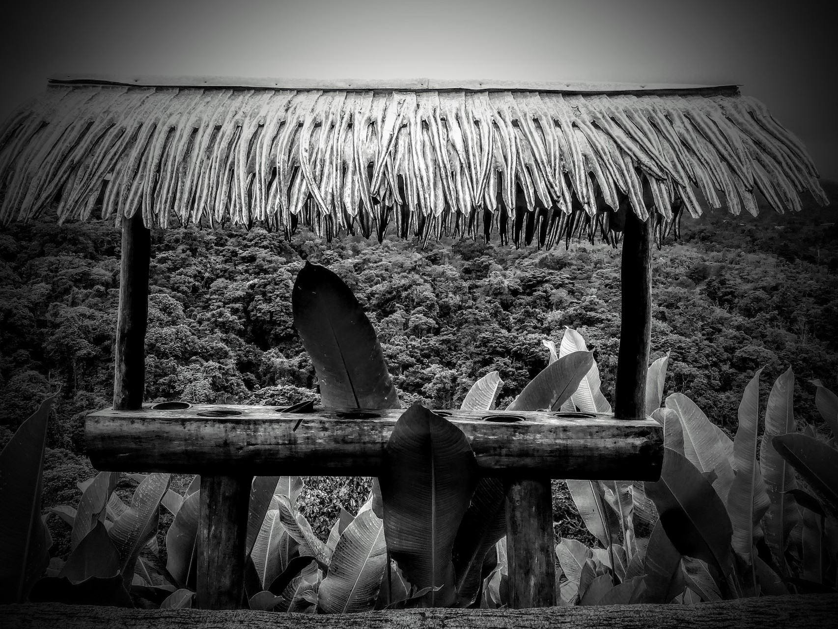 La paz, Costa Rica, décembre 2015